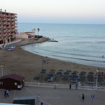 Palmeral de Torrevieja Exterior foto