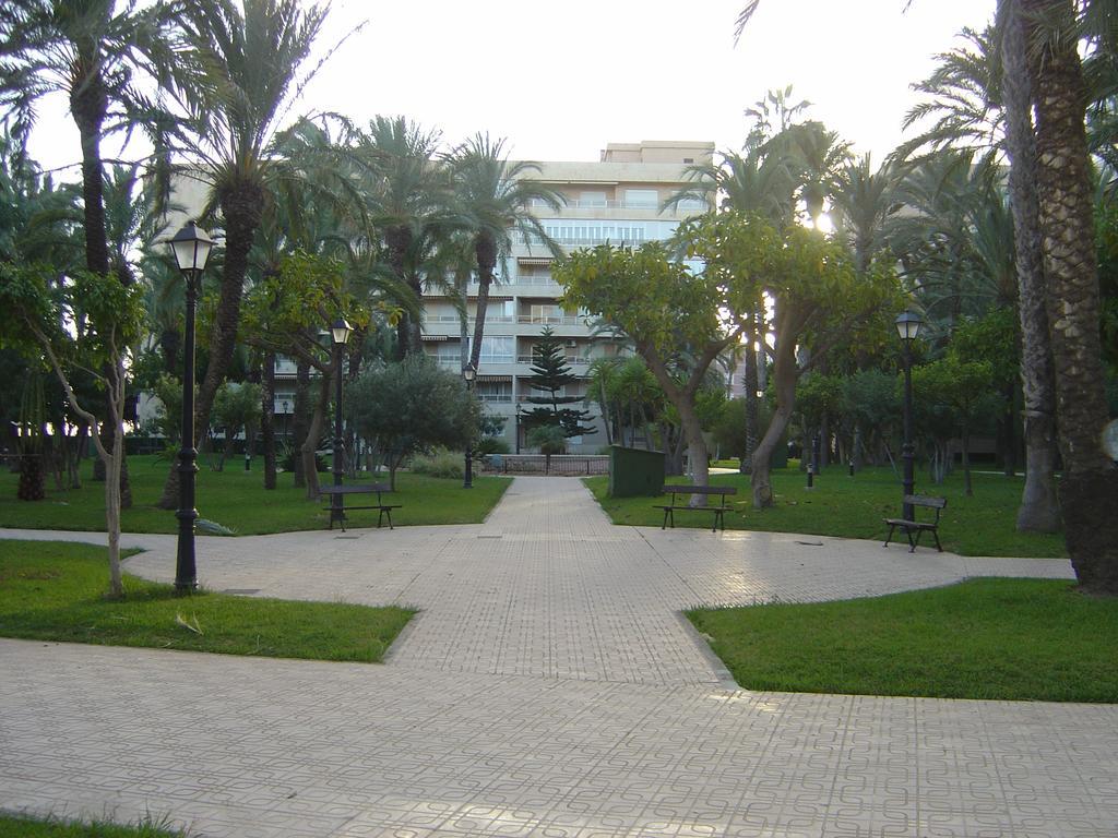 Palmeral de Torrevieja Exterior foto