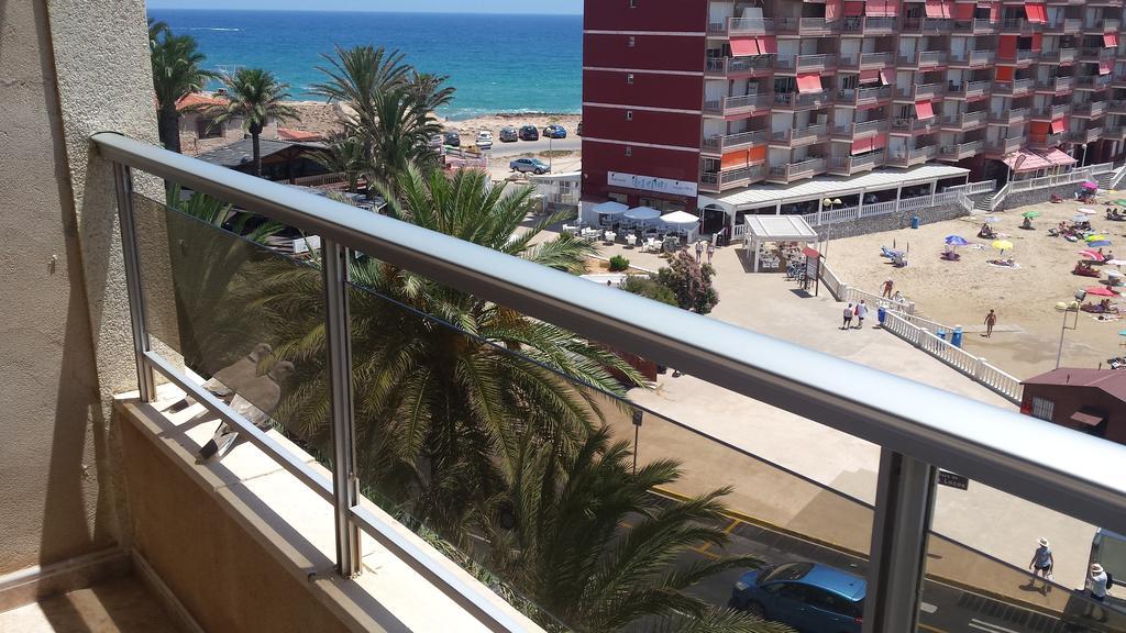 Palmeral de Torrevieja Exterior foto