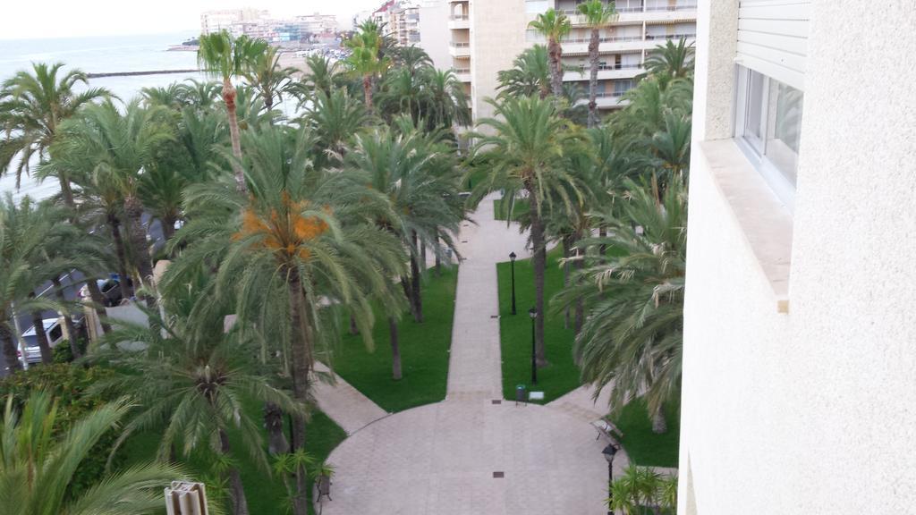 Palmeral de Torrevieja Exterior foto